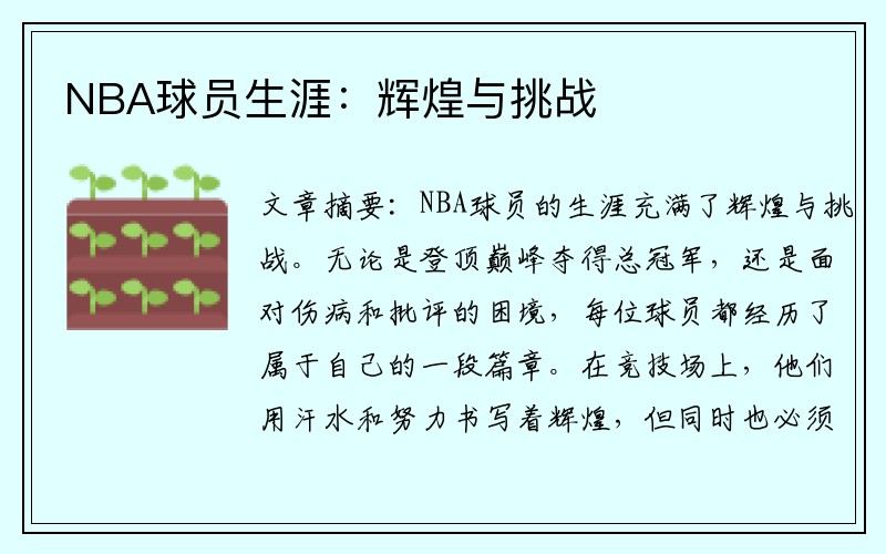 NBA球员生涯：辉煌与挑战